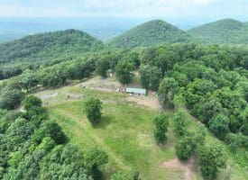 127.40 Ac Sector Rd, Purgitsville, WV 26852