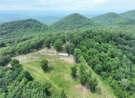 127.40 Ac Sector Rd, Purgitsville, WV 26852