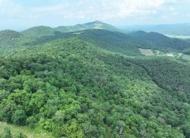 127.40 Ac Sector Rd, Purgitsville, WV 26852