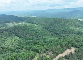 127.40 Ac Sector Rd, Purgitsville, WV 26852