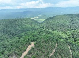 127.40 Ac Sector Rd, Purgitsville, WV 26852