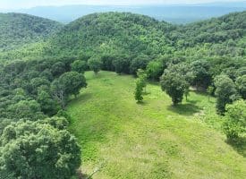 127.40 Ac Sector Rd, Purgitsville, WV 26852