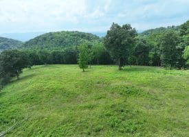 127.40 Ac Sector Rd, Purgitsville, WV 26852