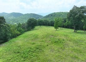 127.40 Ac Sector Rd, Purgitsville, WV 26852