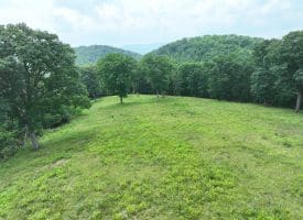 127.40 Ac Sector Rd, Purgitsville, WV 26852