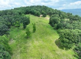 127.40 Ac Sector Rd, Purgitsville, WV 26852
