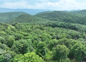 127.40 Ac Sector Rd, Purgitsville, WV 26852