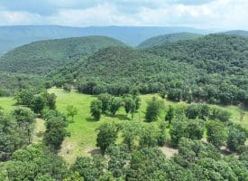 127.40 Ac Sector Rd, Purgitsville, WV 26852