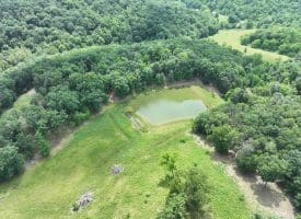 127.40 Ac Sector Rd, Purgitsville, WV 26852