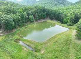 127.40 Ac Sector Rd, Purgitsville, WV 26852