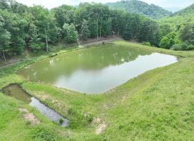 127.40 Ac Sector Rd, Purgitsville, WV 26852