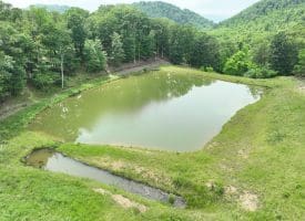 127.40 Ac Sector Rd, Purgitsville, WV 26852