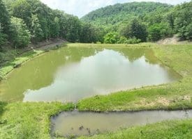 127.40 Ac Sector Rd, Purgitsville, WV 26852