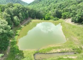 127.40 Ac Sector Rd, Purgitsville, WV 26852
