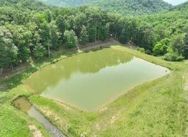 127.40 Ac Sector Rd, Purgitsville, WV 26852