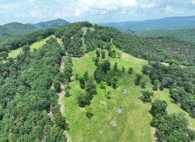 127.40 Ac Sector Rd, Purgitsville, WV 26852