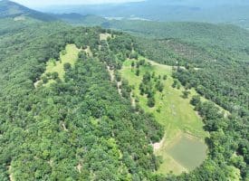 127.40 Ac Sector Rd, Purgitsville, WV 26852