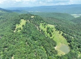 127.40 Ac Sector Rd, Purgitsville, WV 26852