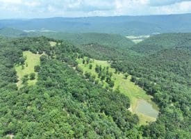 127.40 Ac Sector Rd, Purgitsville, WV 26852