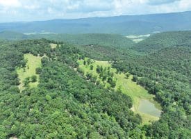 127.40 Ac Sector Rd, Purgitsville, WV 26852