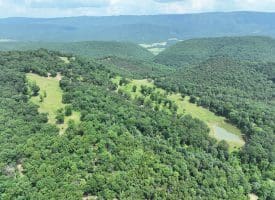 127.40 Ac Sector Rd, Purgitsville, WV 26852