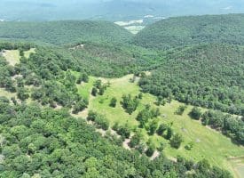 127.40 Ac Sector Rd, Purgitsville, WV 26852