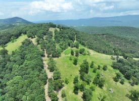 127.40 Ac Sector Rd, Purgitsville, WV 26852