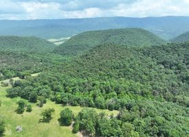 127.40 Ac Sector Rd, Purgitsville, WV 26852