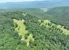 127.40 Ac Sector Rd, Purgitsville, WV 26852