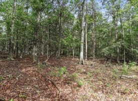 Lot 28 Island Ridge Rd, Purgitsville, WV 26852