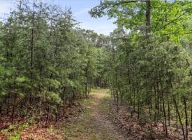 Lot 28 Island Ridge Rd, Purgitsville, WV 26852