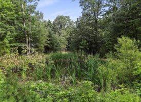 Lot 28 Island Ridge Rd, Purgitsville, WV 26852