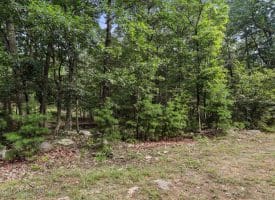 Lot 28 Island Ridge Rd, Purgitsville, WV 26852