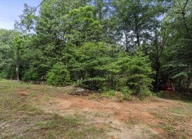 Lot 28 Island Ridge Rd, Purgitsville, WV 26852