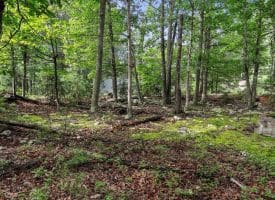 Lot 28 Island Ridge Rd, Purgitsville, WV 26852