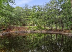 Lot 28 Island Ridge Rd, Purgitsville, WV 26852
