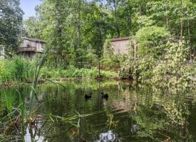 Lot 28 Island Ridge Rd, Purgitsville, WV 26852