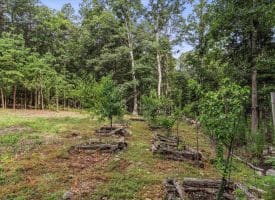 Lot 28 Island Ridge Rd, Purgitsville, WV 26852