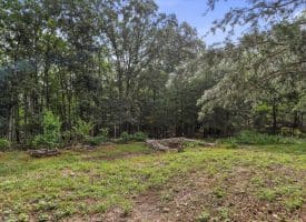 Lot 28 Island Ridge Rd, Purgitsville, WV 26852