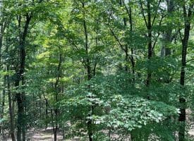 1944 Crossings View Rd, Paw Paw, WV 25434