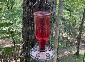 1944 Crossings View Rd, Paw Paw, WV 25434
