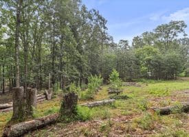 Lot 28 Island Ridge Rd, Purgitsville, WV 26852