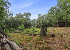 Lot 28 Island Ridge Rd, Purgitsville, WV 26852