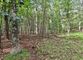 Lot 28 Island Ridge Rd, Purgitsville, WV 26852