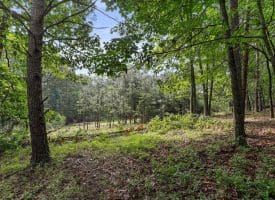 Lot 28 Island Ridge Rd, Purgitsville, WV 26852