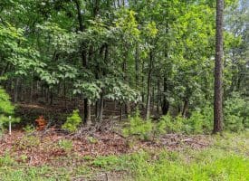 Lot 28 Island Ridge Rd, Purgitsville, WV 26852