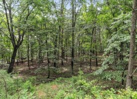 Lot 28 Island Ridge Rd, Purgitsville, WV 26852