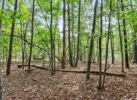 Lot 28 Island Ridge Rd, Purgitsville, WV 26852