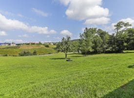 351 Ford Hill Rd, Augusta, WV 26704