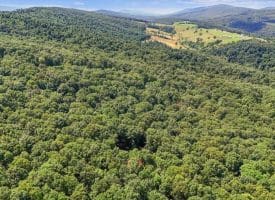 480 High Mountain Rd, Romney, WV 26757